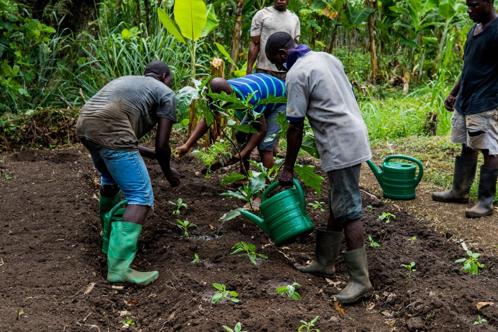 Agricultores a trabalhar no campo